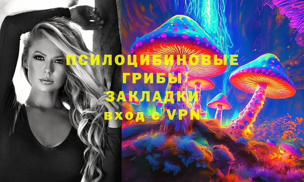 каннабис Коряжма