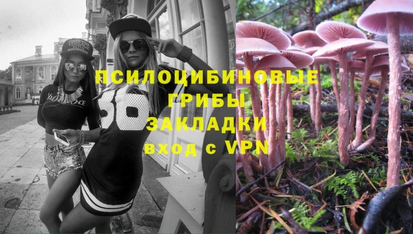 каннабис Коряжма