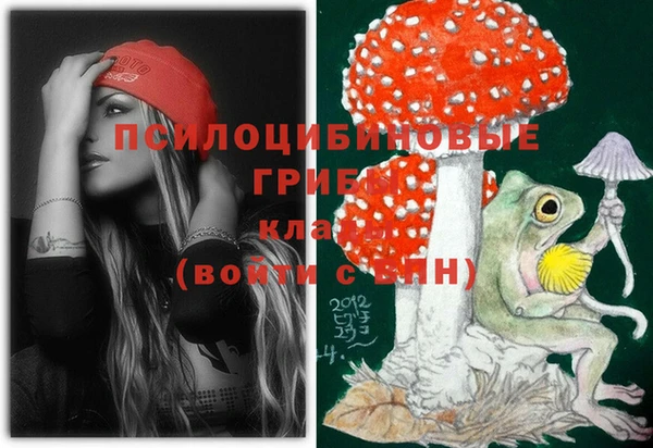 а пвп мука Корсаков