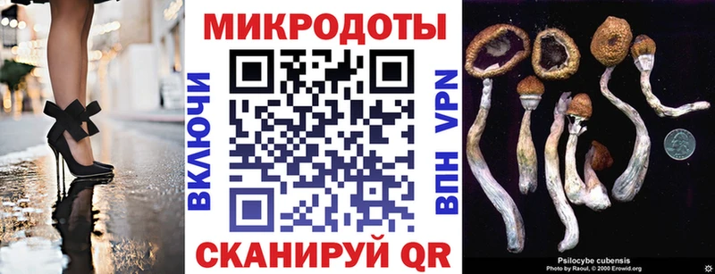 Купить  Каменногорск  Галлюциногенные грибы мицелий 